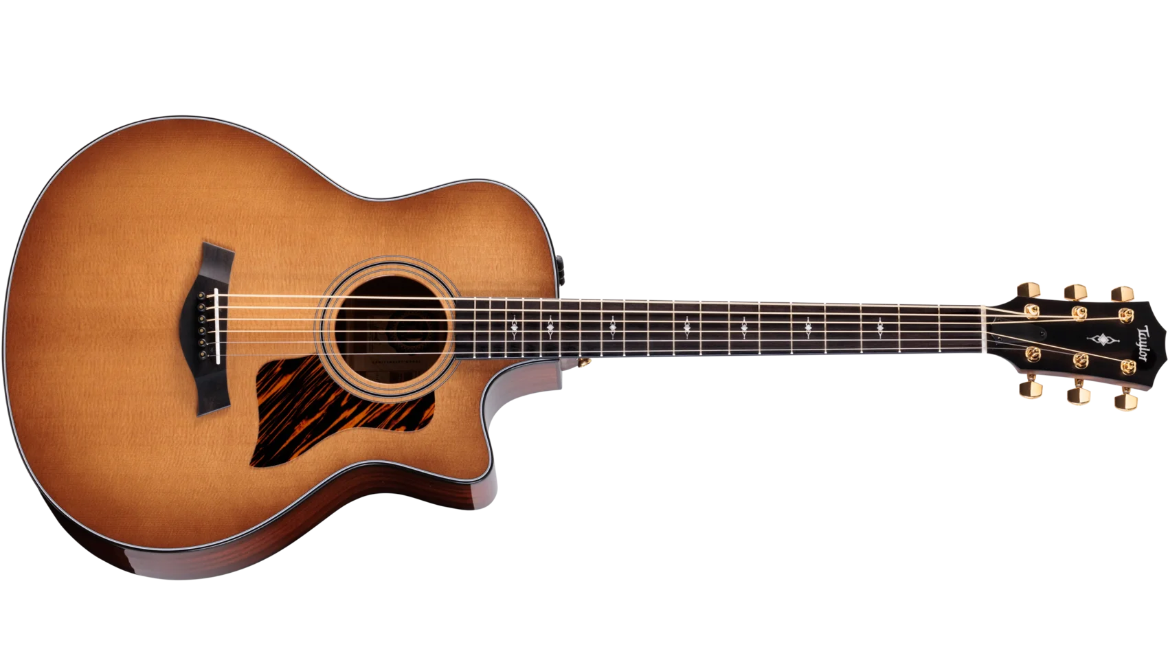 Taylor 316ce アコースティックギター 50th Anniversary 316ce Baritone-6 LTD Sapele Acoustic-Electric